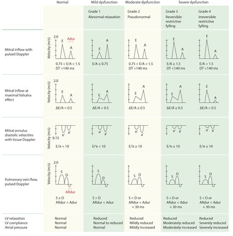 lv es volume|Reference (normal) values for echocardiography.